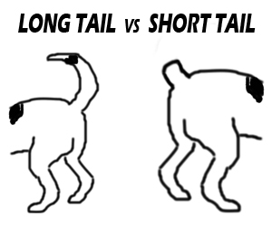 long vs short
