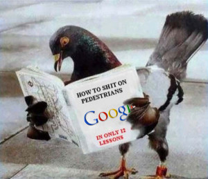 google-pigeon-update
